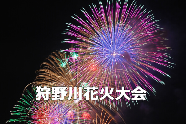 狩野川花火大会 2015年沼津夏まつり静岡東部
